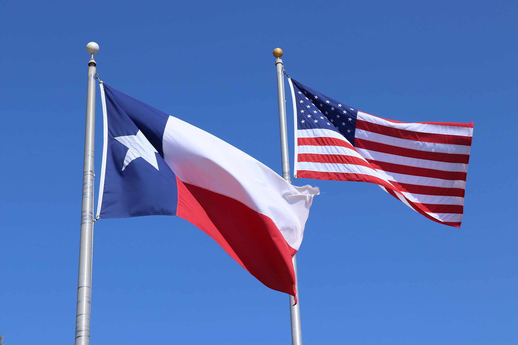 Texas & U.S.A. Flags